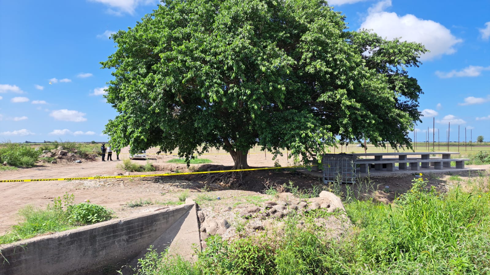 WhatsApp Image 2025-07-17 at 10.30.50 AM