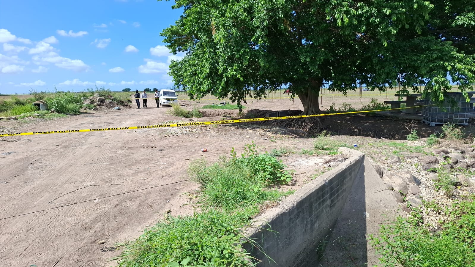 WhatsApp Image 2025-07-17 at 12.20.51 PM