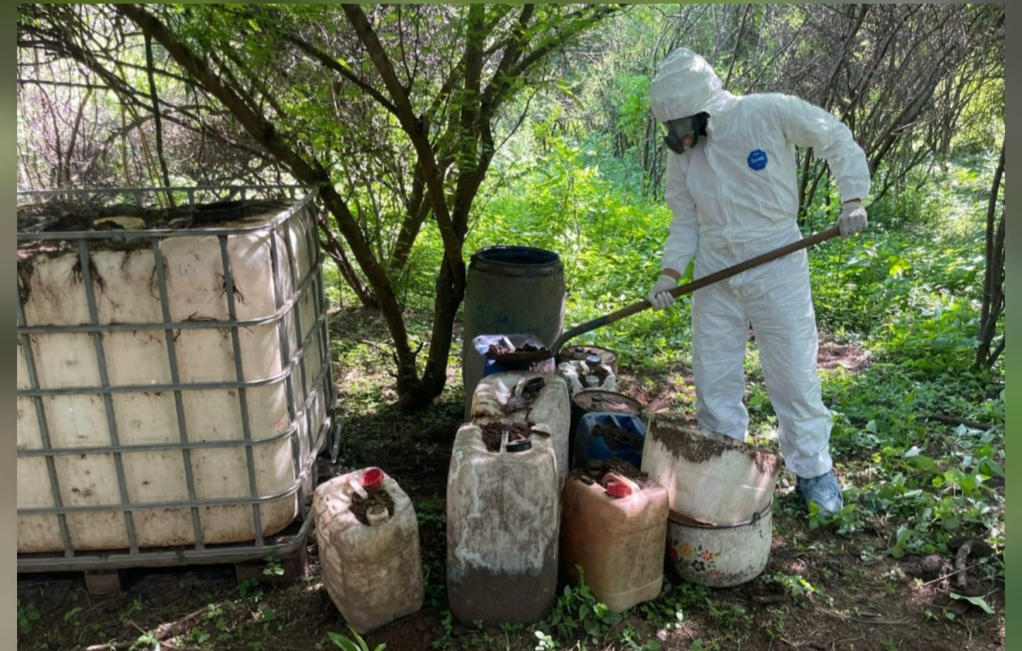 WhatsApp Image 2025-07-25 at 1.05.55 PM (1)