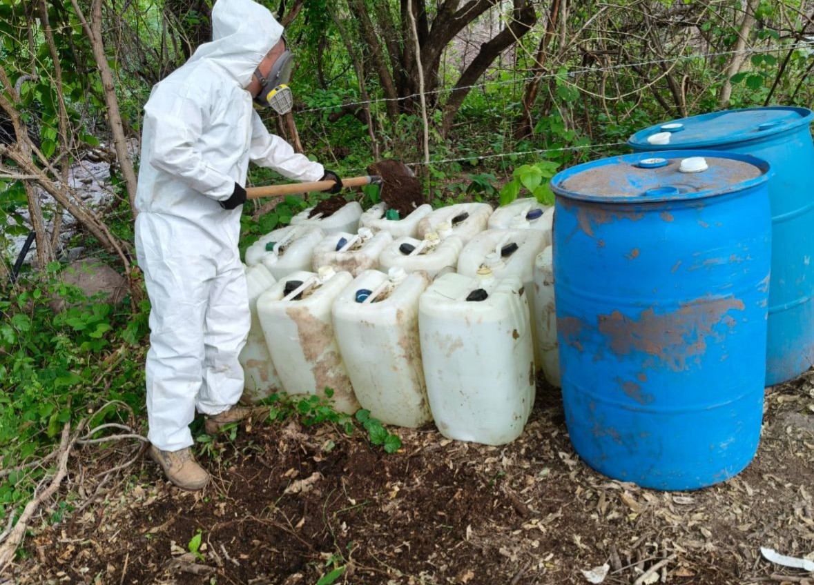 WhatsApp Image 2025-07-27 at 9.31.20 AM