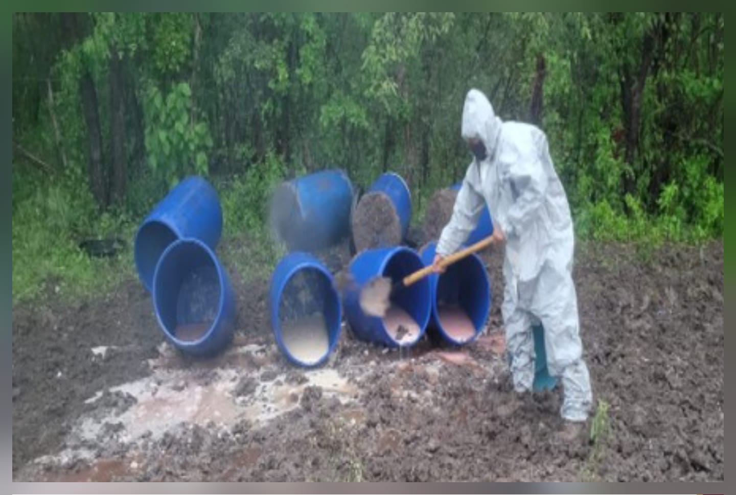 WhatsApp Image 2025-07-29 at 2.25.40 PM