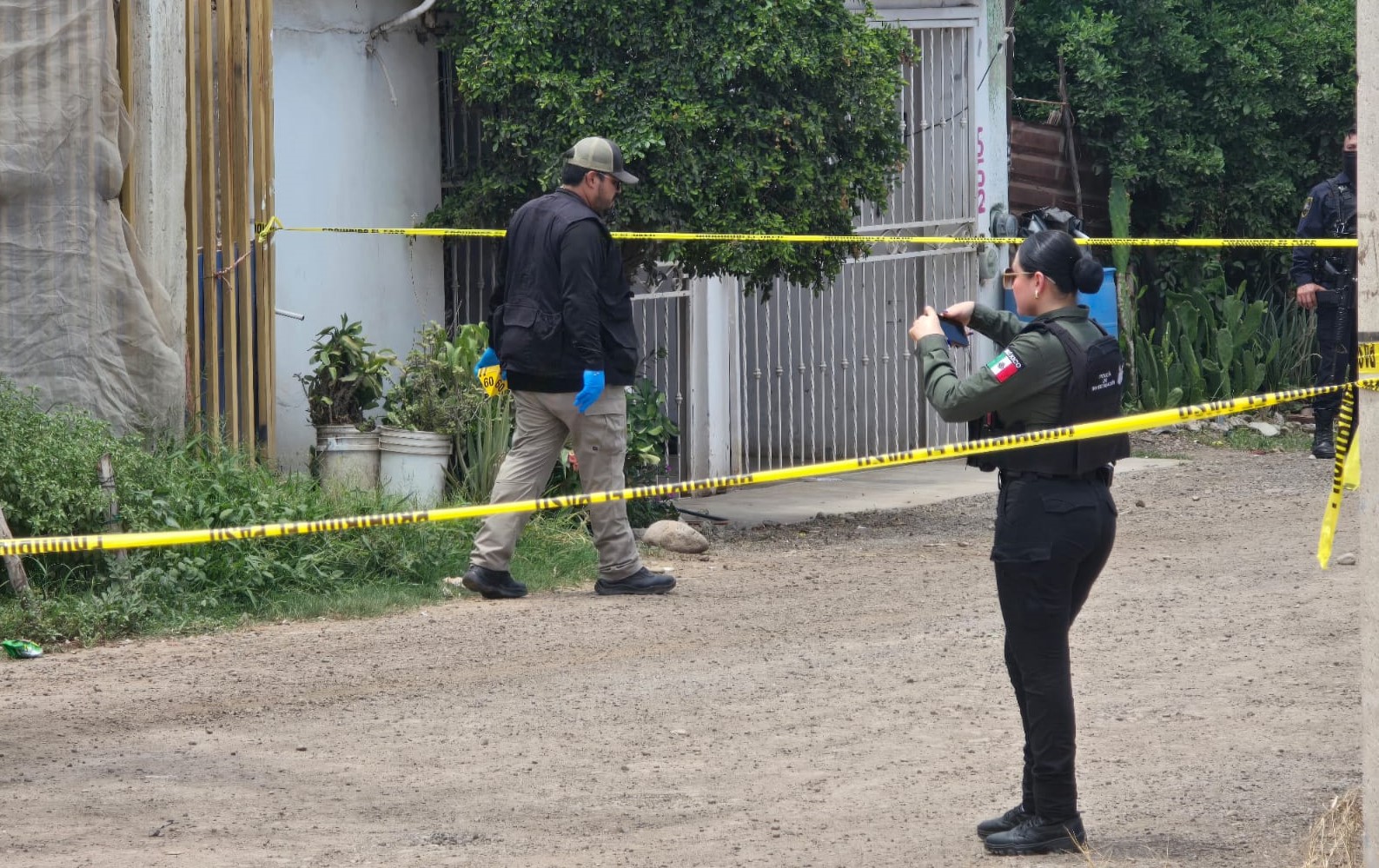 WhatsApp Image 2025-08-07 at 1.52.49 PM