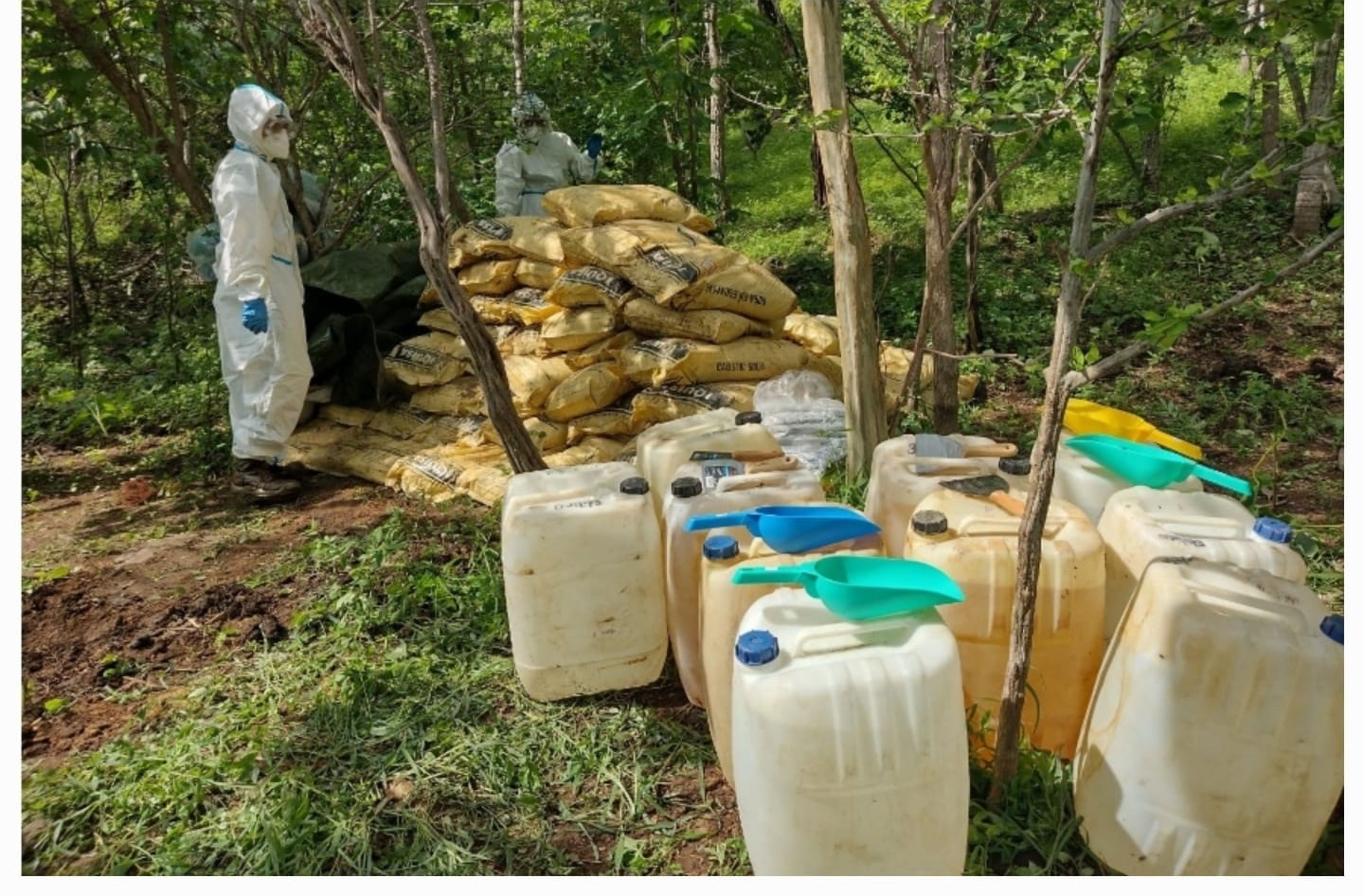 WhatsApp Image 2025-08-10 at 2.06.20 PM