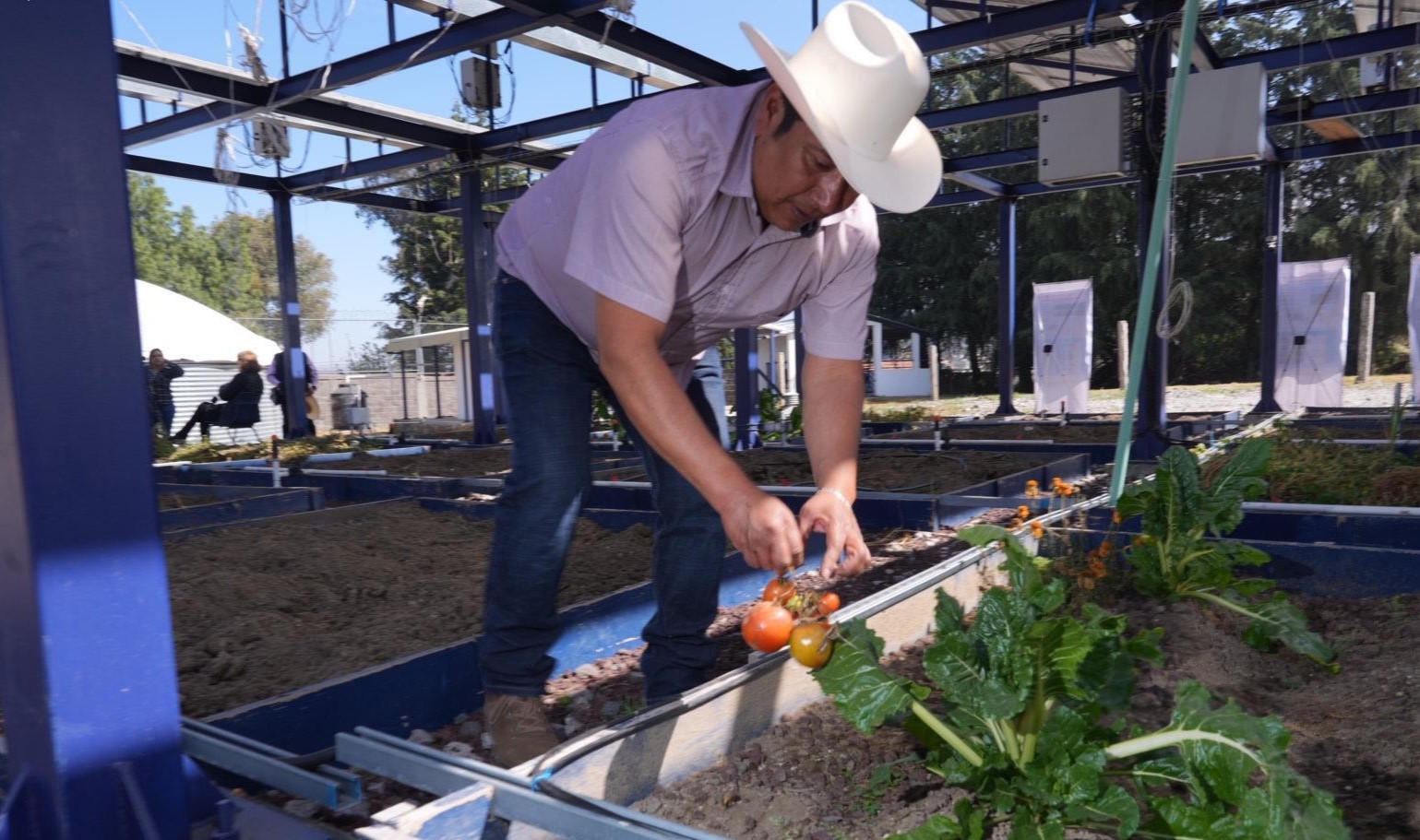 técnica agrovoltaica (2)
