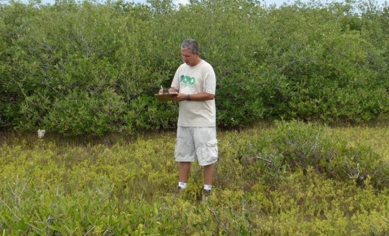 BIOLOGIA SATURNINO DIAZ ESPECIES INVASORAS EN ISLAS (1)