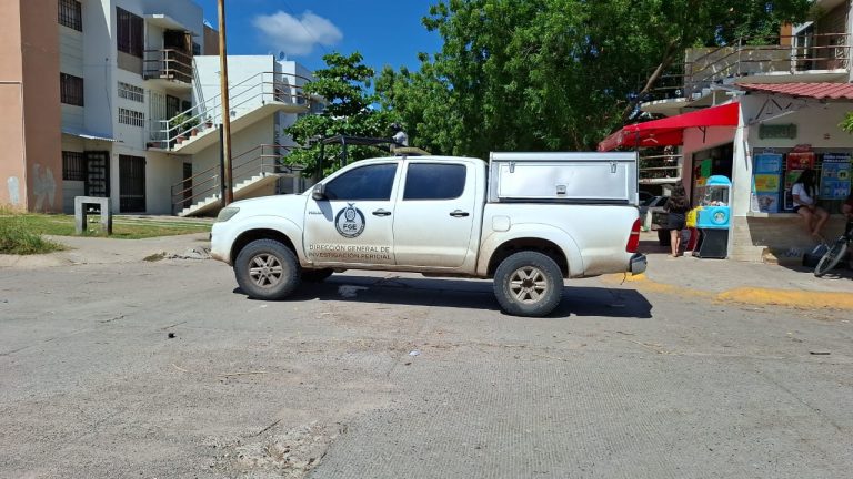 IMG-20251009-WA0101