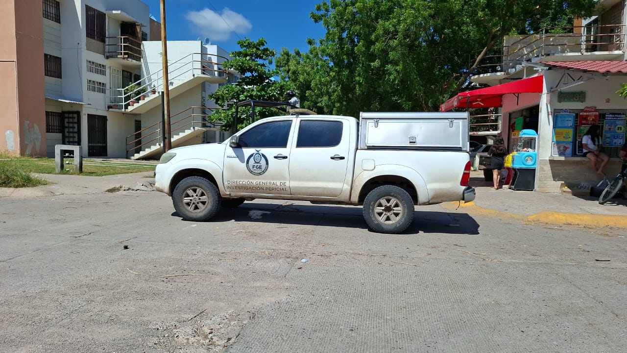 IMG-20251009-WA0101