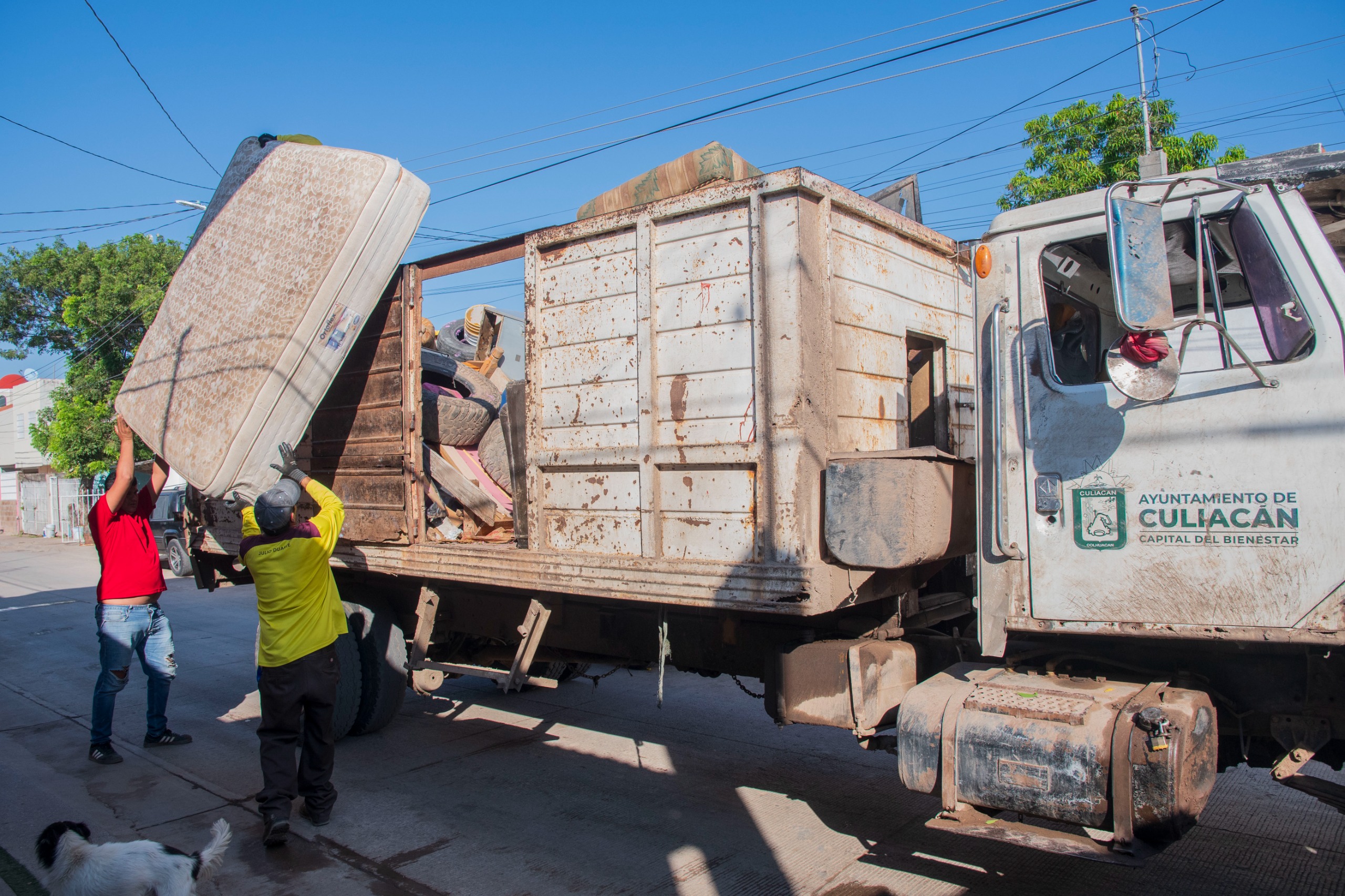 WhatsApp Image 2025-10-25 at 12.24.27 PM