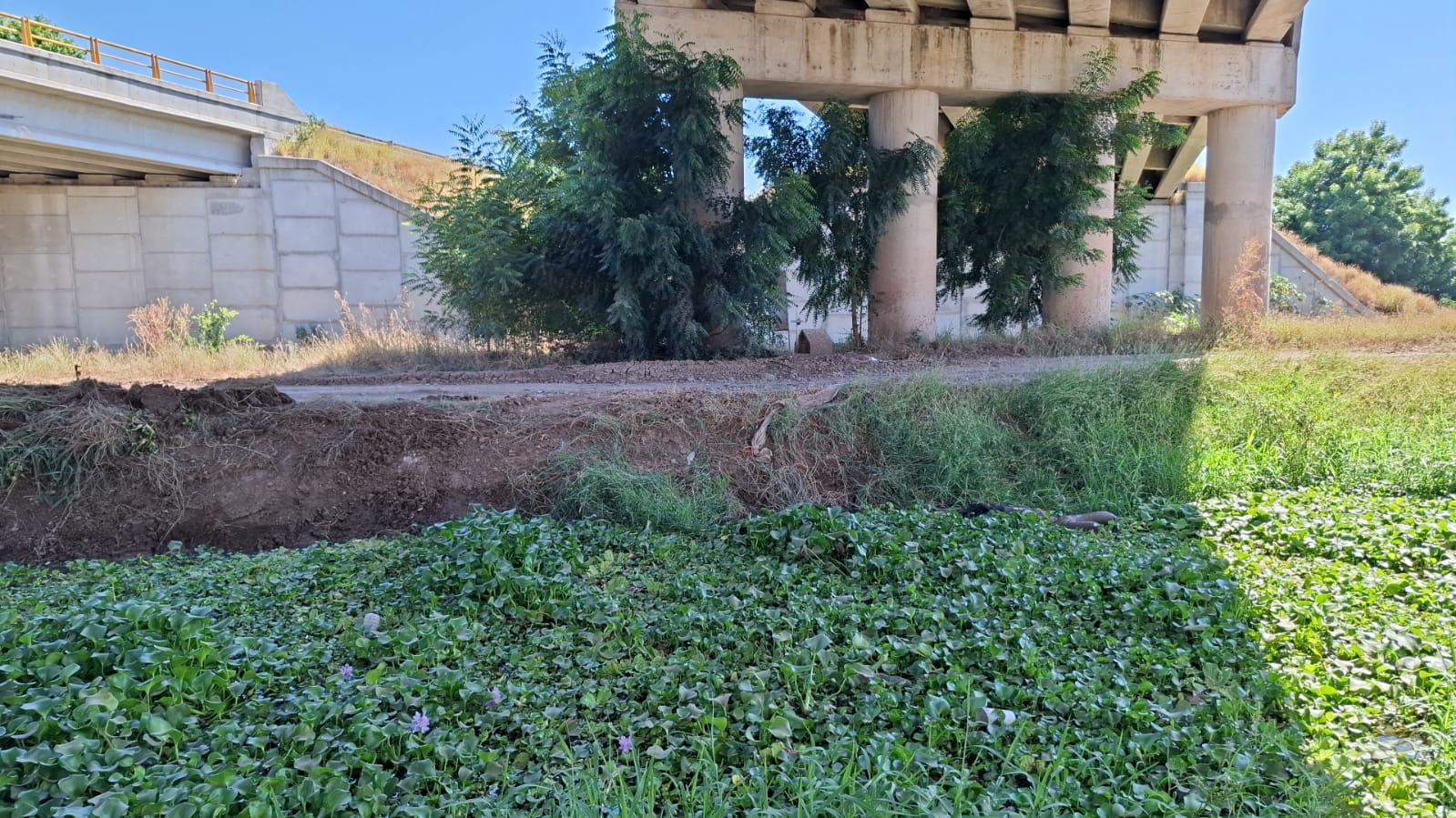 WhatsApp Image 2025-11-03 at 12.33.35 PM