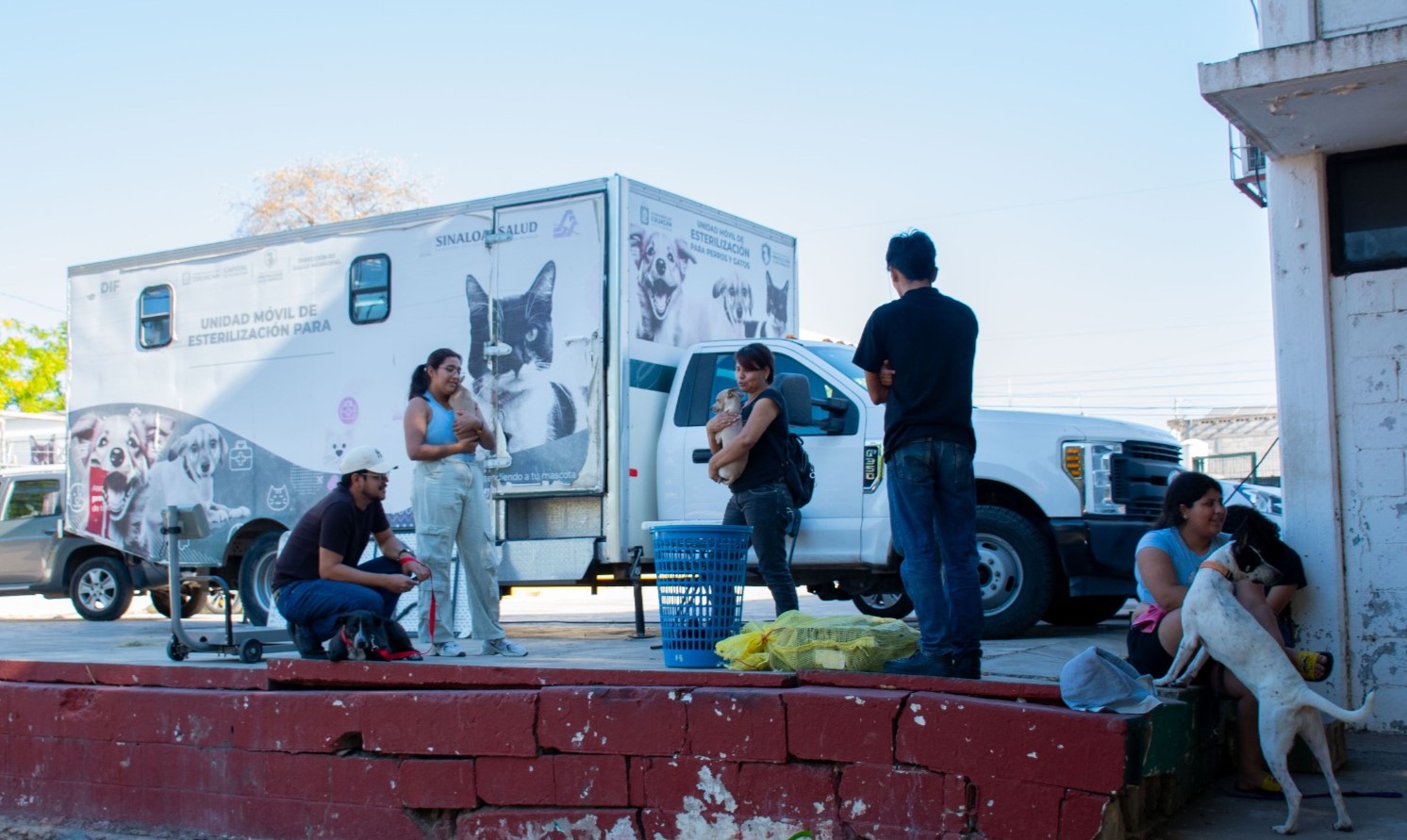 WhatsApp Image 2025-11-03 at 2.23.18 PM (1)