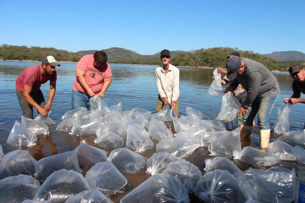 WhatsApp Image 2025-11-04 at 4.25.22 PM