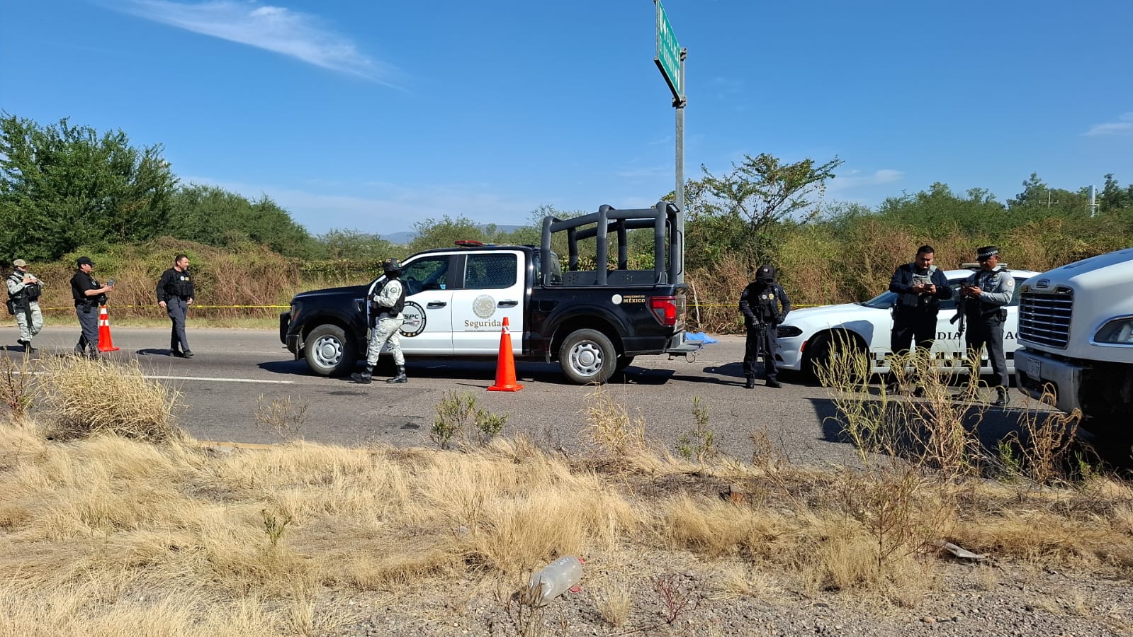 WhatsApp Image 2025-11-06 at 2.25.27 PM