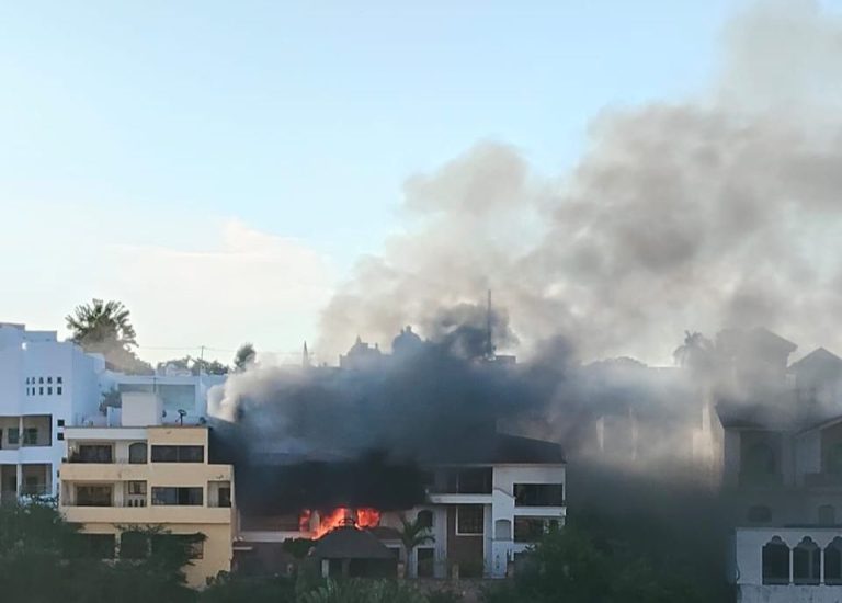 WhatsApp Image 2025-11-07 at 9.13.25 AM