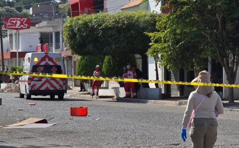 WhatsApp Image 2025-11-09 at 11.54.41 AM