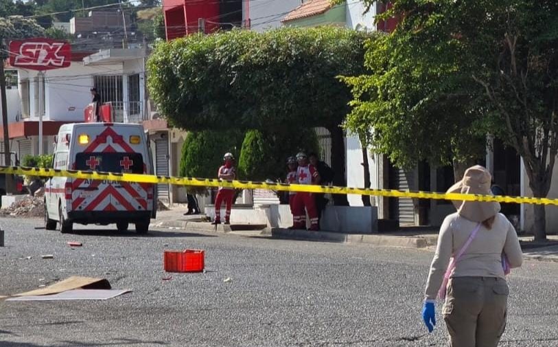 WhatsApp Image 2025-11-09 at 11.54.41 AM