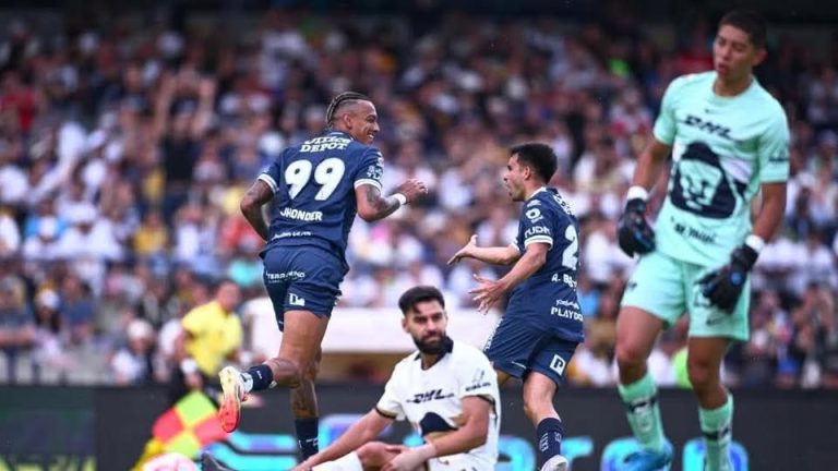 pumas