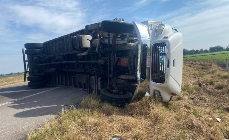 WhatsApp Image 2025-12-24 at 2.53.20 PM