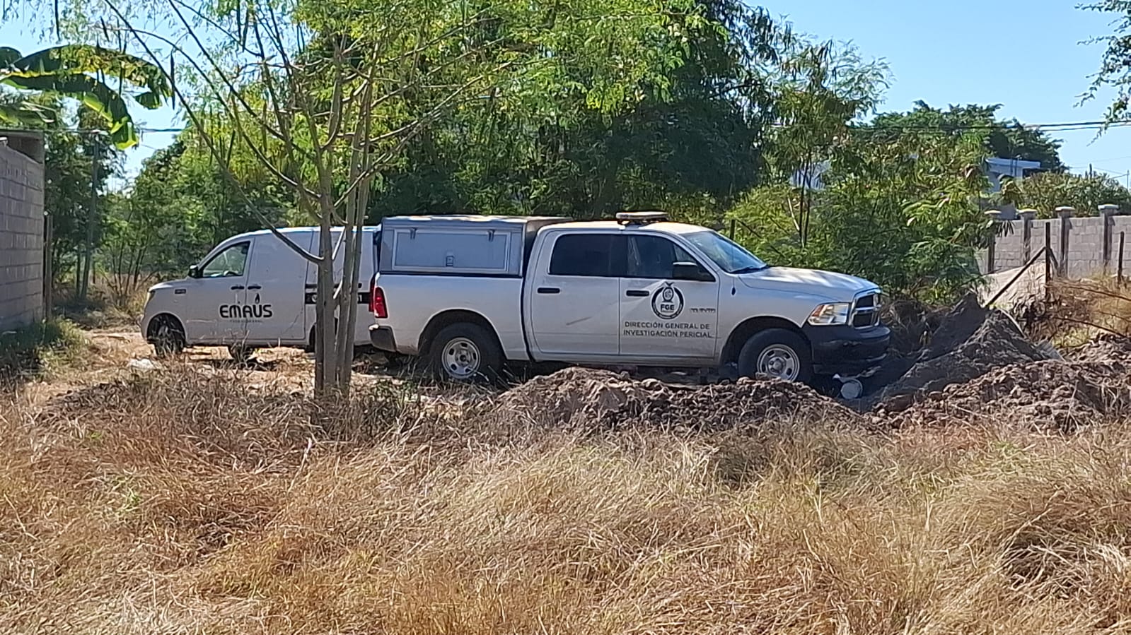 WhatsApp Image 2025-12-26 at 12.59.20 PM (1)