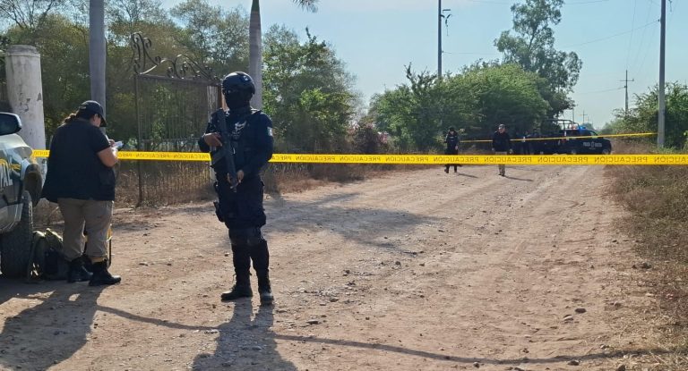 WhatsApp Image 2025-12-30 at 11.18.27 AM