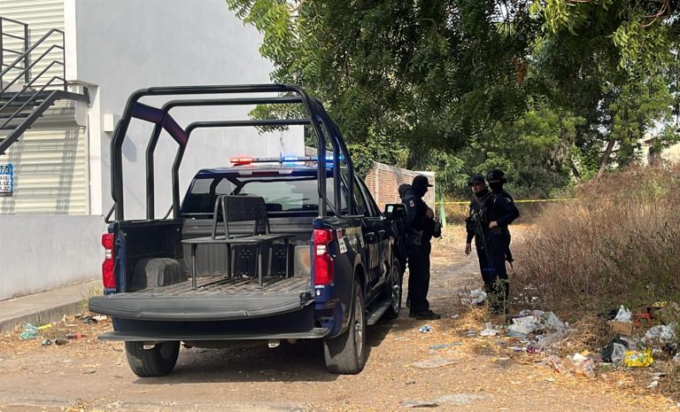 WhatsApp Image 2025-12-31 at 11.08.37 AM