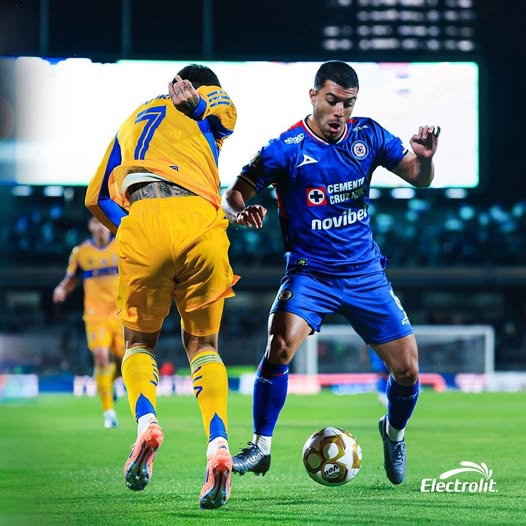 tigres