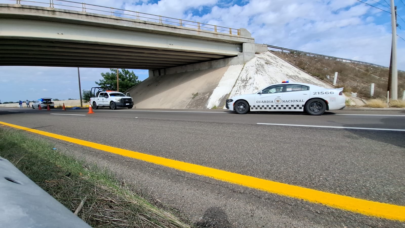 IMG-20260112-WA0145(1)