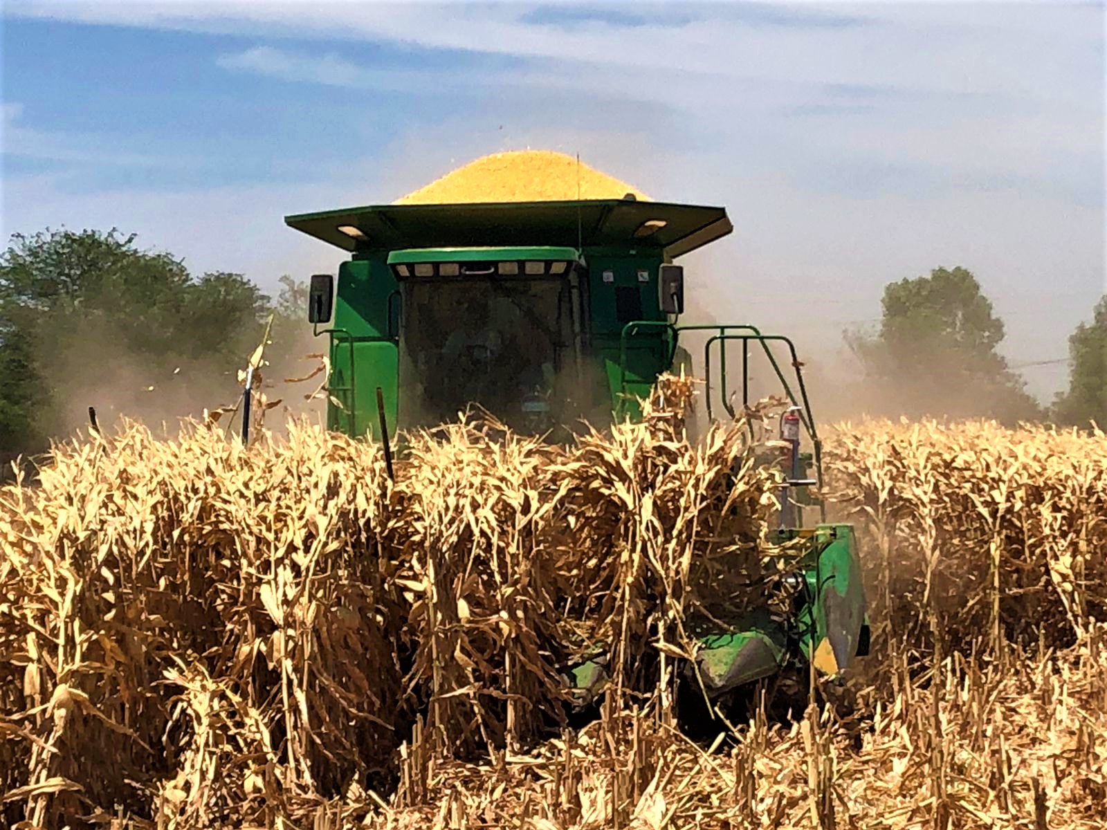 Sinaloa Agricultura (2)