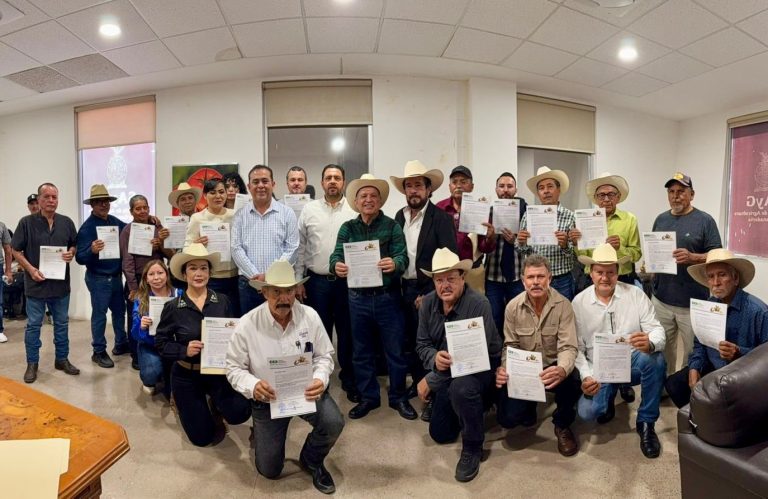 WhatsApp Image 2026-01-06 at 3.17.32 PM