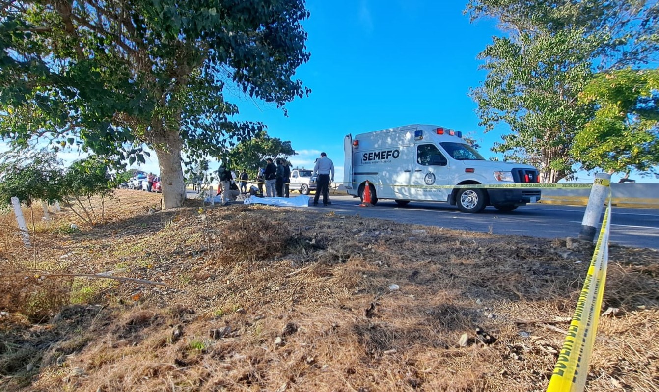 WhatsApp Image 2026-01-10 at 8.33.14 PM