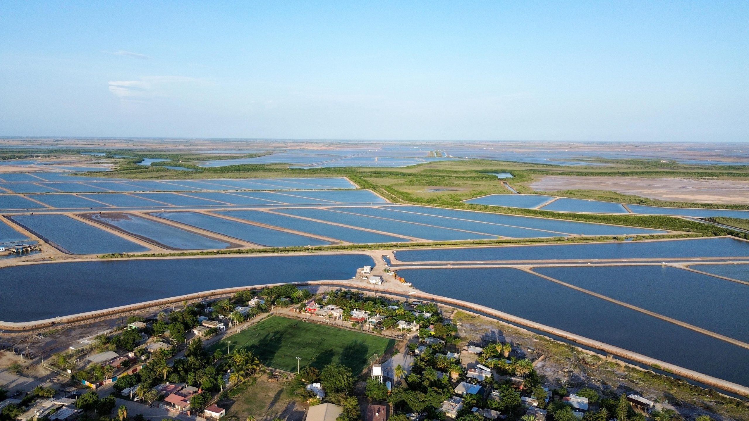 WhatsApp Image 2026-01-15 at 10.52.25 AM