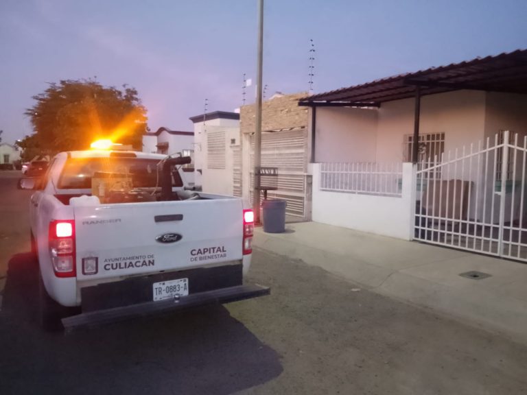 WhatsApp Image 2026-01-16 at 12.51.07 PM