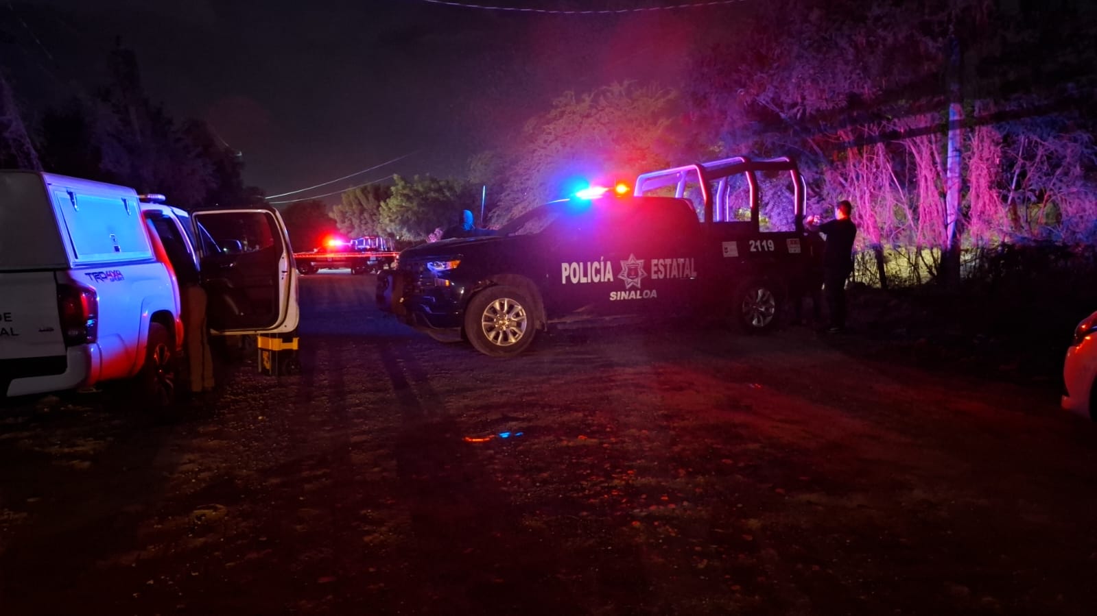 WhatsApp Image 2026-01-16 at 8.46.44 PM