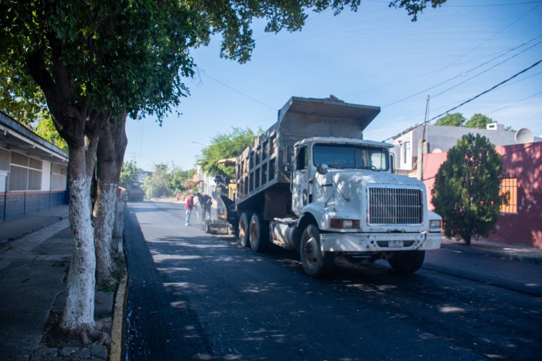 WhatsApp Image 2026-01-17 at 5.21.51 PM