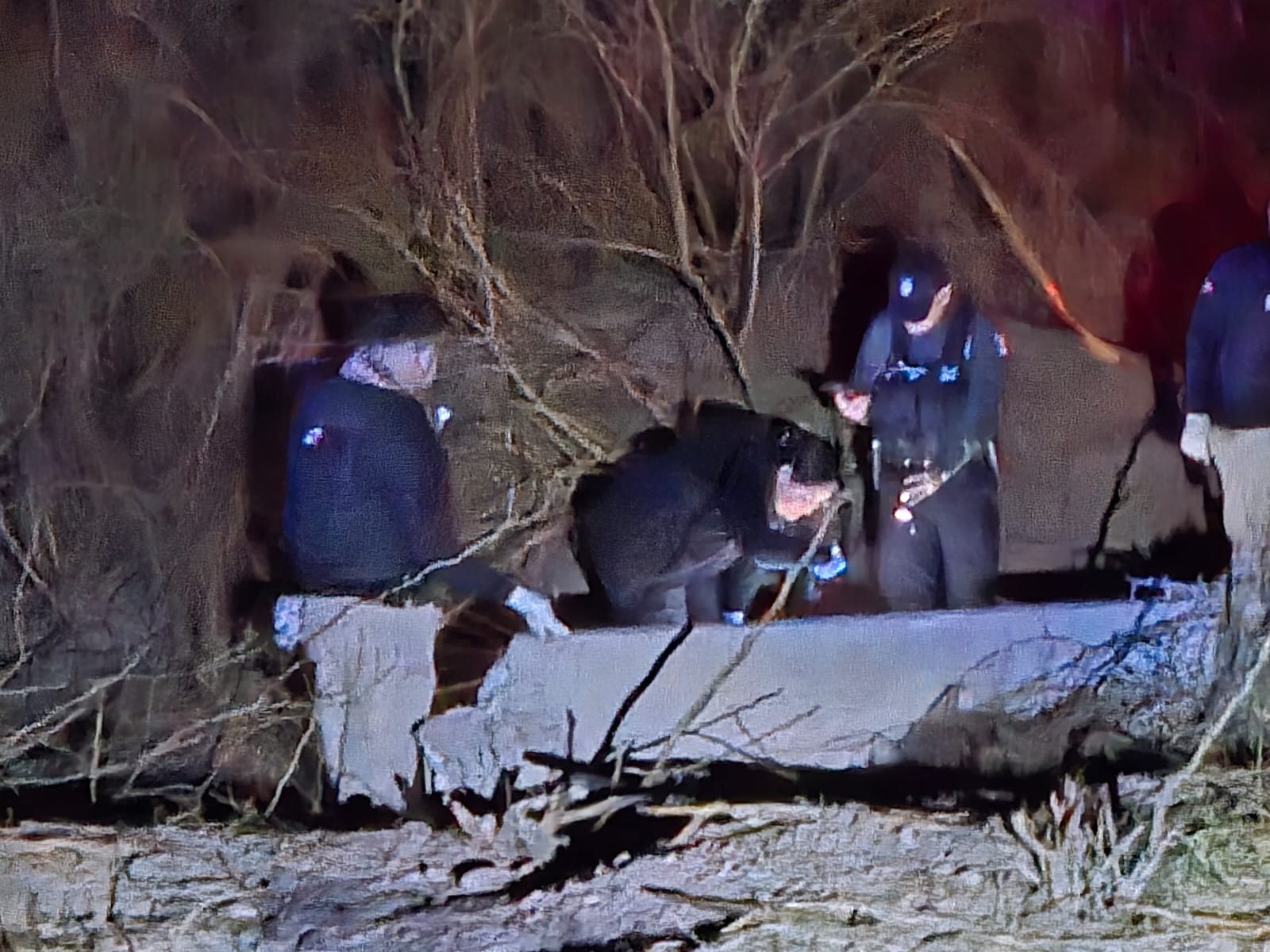 WhatsApp Image 2026-01-17 at 9.22.49 PM