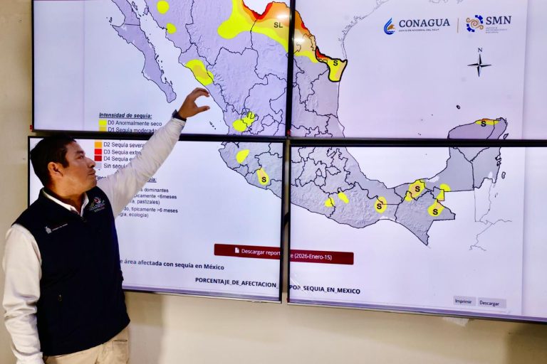 WhatsApp Image 2026-01-20 at 1.30.39 PM