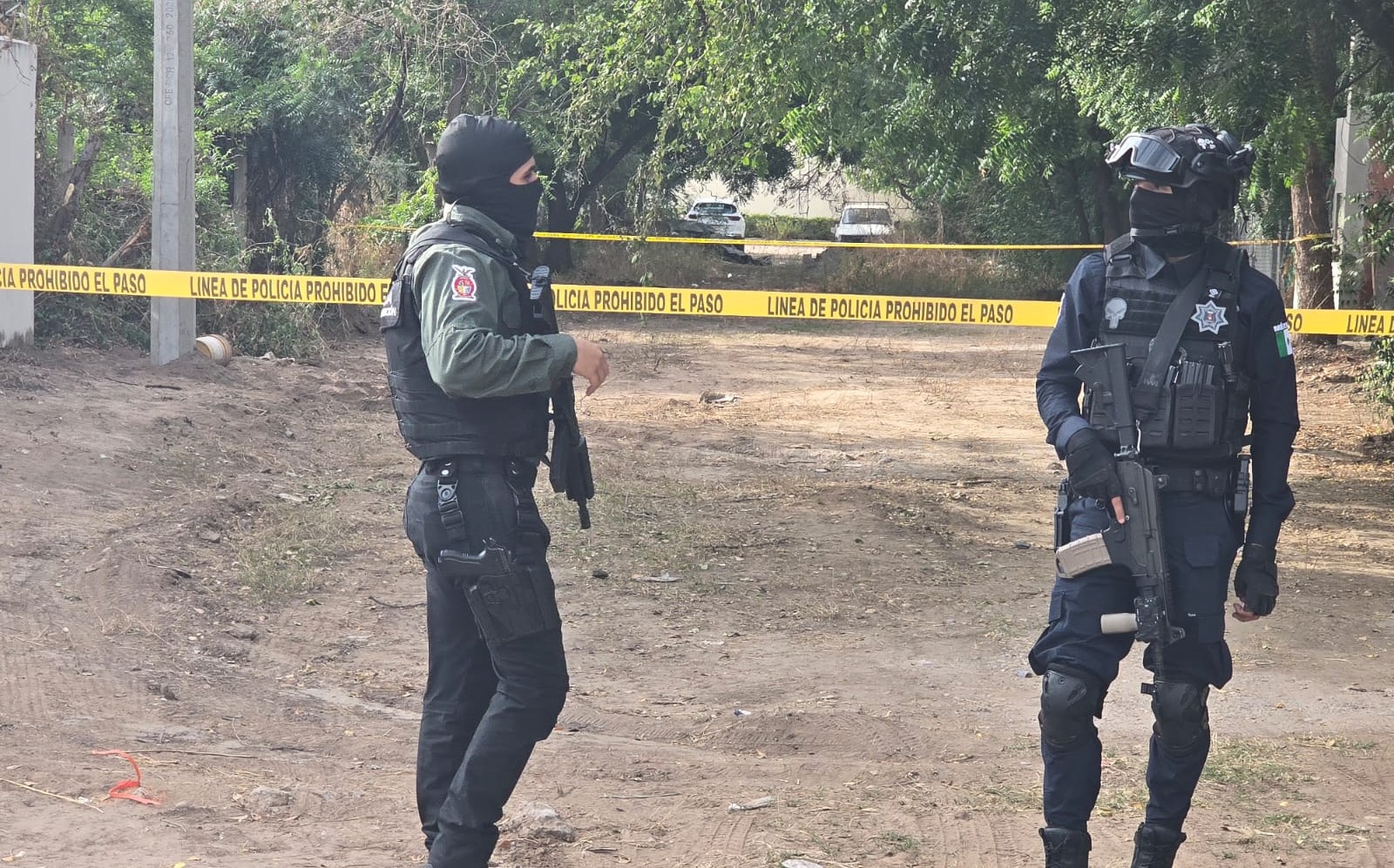 WhatsApp Image 2026-01-20 at 4.27.46 PM