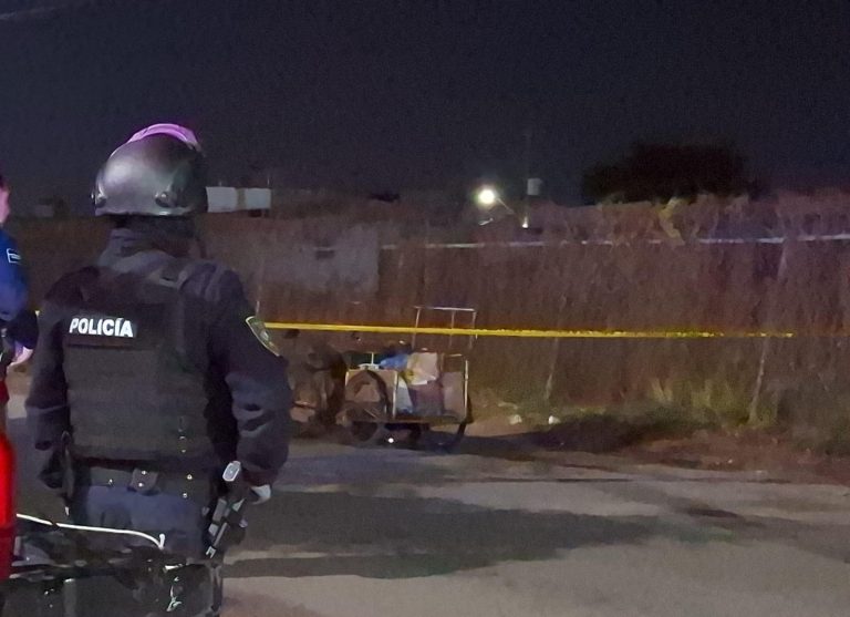 SAVE_20260213_070300