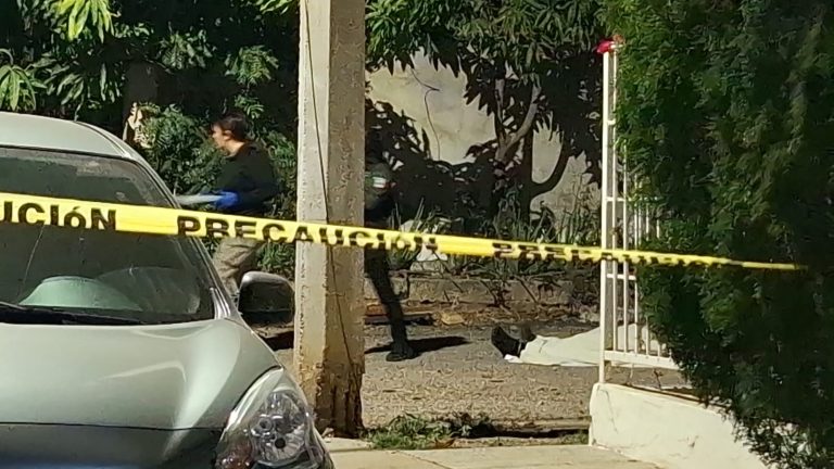 SAVE_20260221_130312