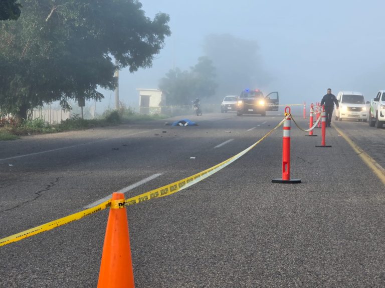 WhatsApp Image 2026-02-02 at 9.06.23 AM