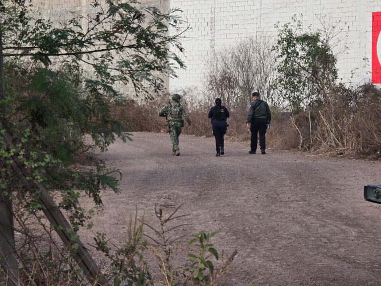 WhatsApp Image 2026-02-04 at 6.56.56 PM