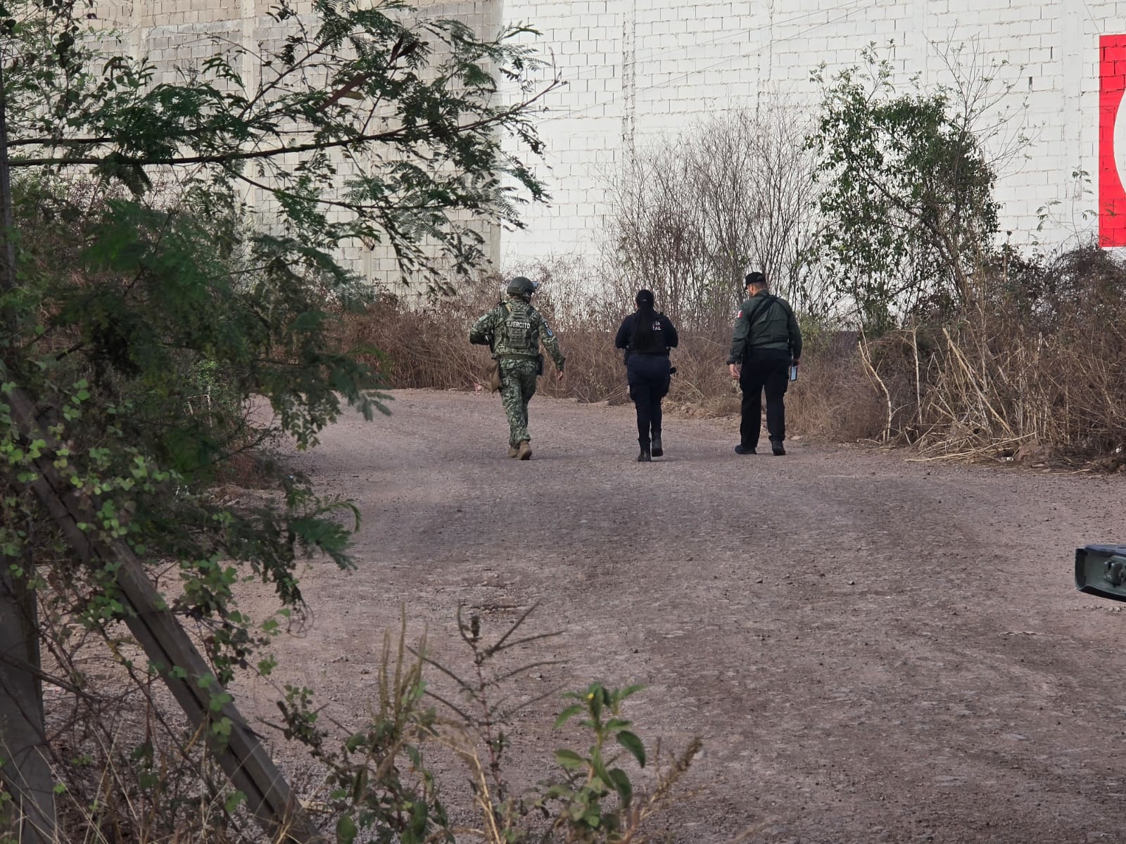 WhatsApp Image 2026-02-04 at 6.56.56 PM