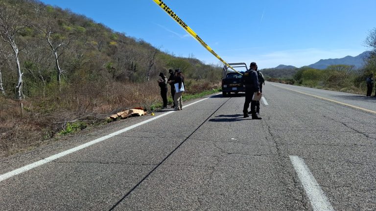 WhatsApp Image 2026-02-06 at 2.34.47 PM