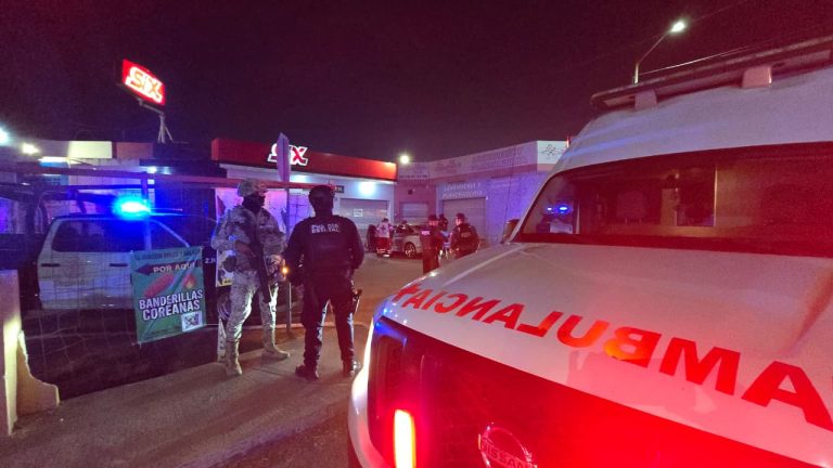 WhatsApp Image 2026-02-06 at 8.15.22 PM