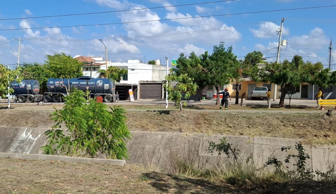 WhatsApp Image 2026-02-10 at 2.43.54 PM