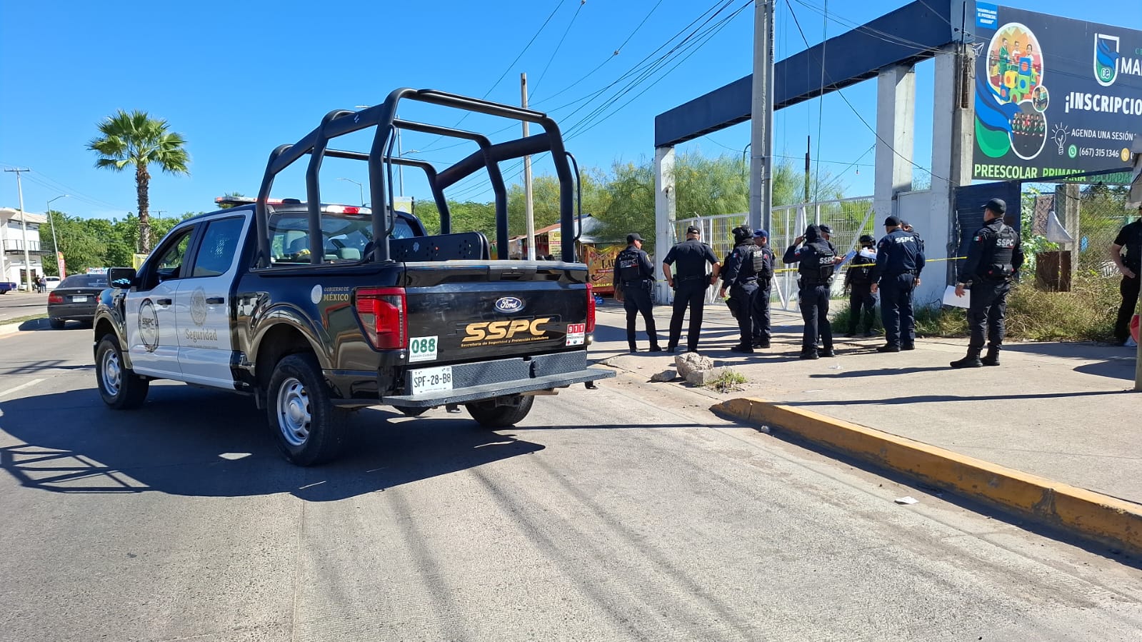 WhatsApp Image 2026-02-11 at 11.43.16 AM