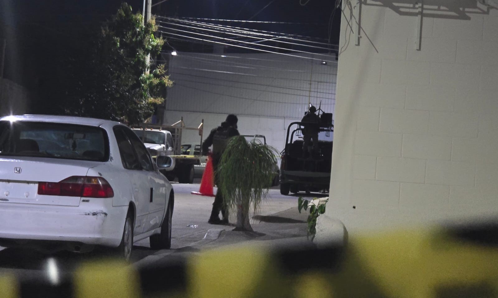 WhatsApp Image 2026-02-11 at 9.10.58 PM