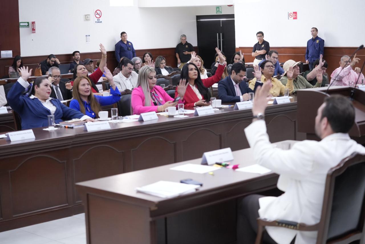 WhatsApp Image 2026-02-12 at 3.57.28 PM