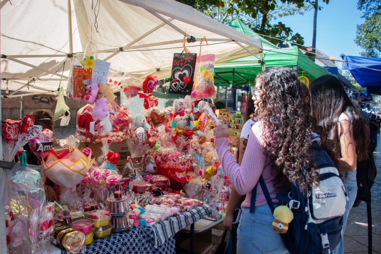 WhatsApp Image 2026-02-13 at 2.36.49 PM (1)