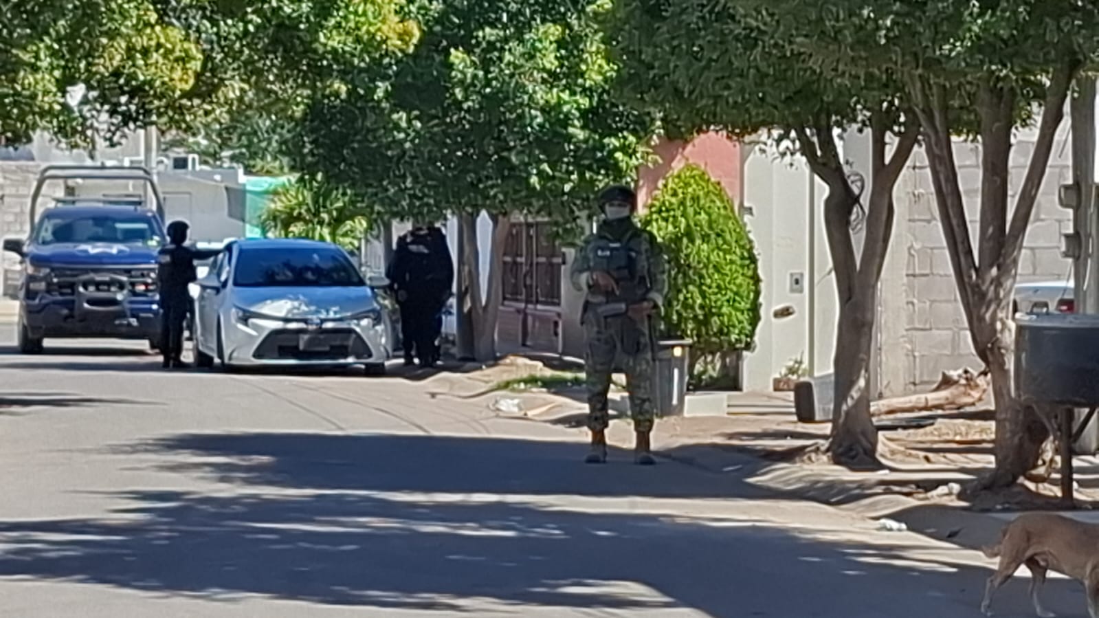 WhatsApp Image 2026-02-14 at 1.02.36 PM