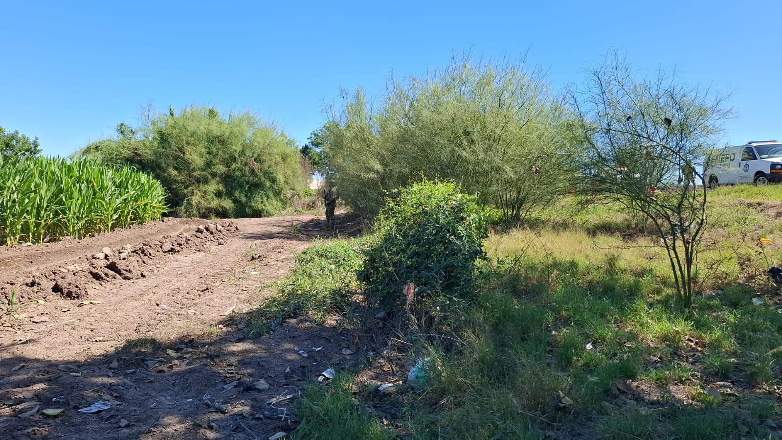 WhatsApp Image 2026-02-16 at 1.02.56 PM